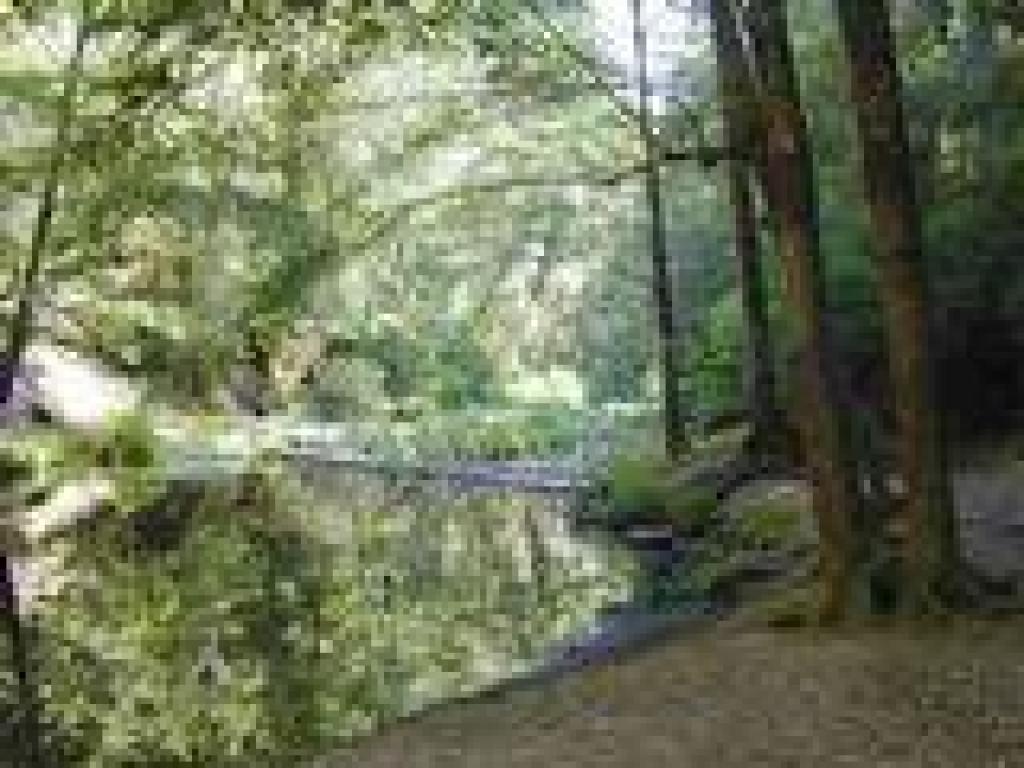 Pescadero Creek