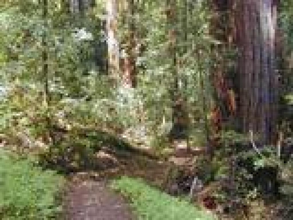 Iverson Trail