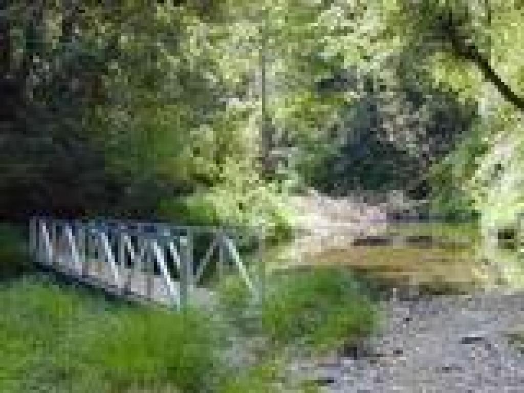 Bridge