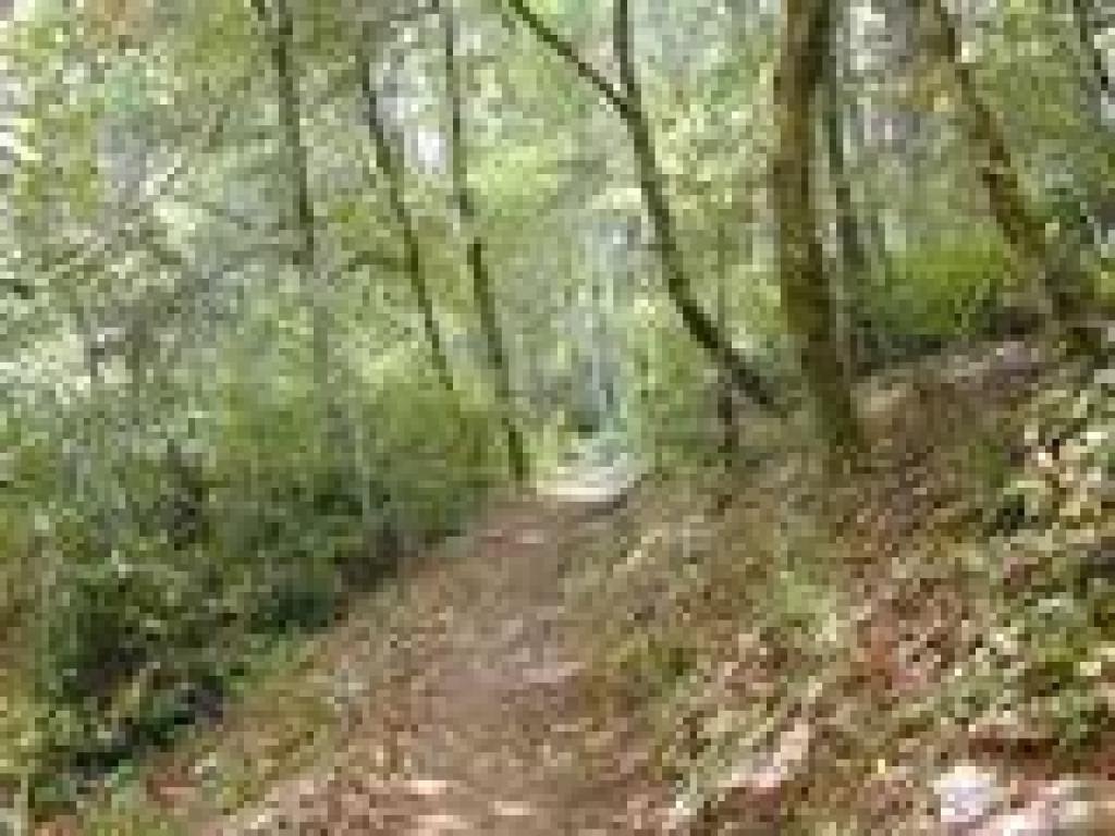 Pomponio Trail