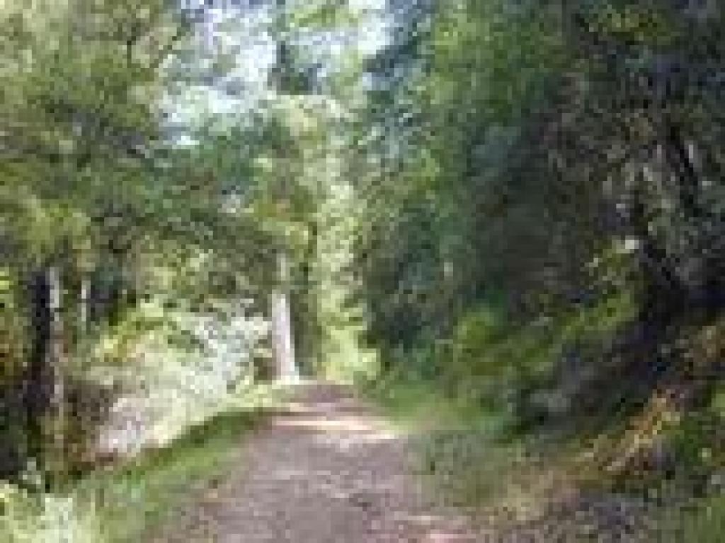 Wider section