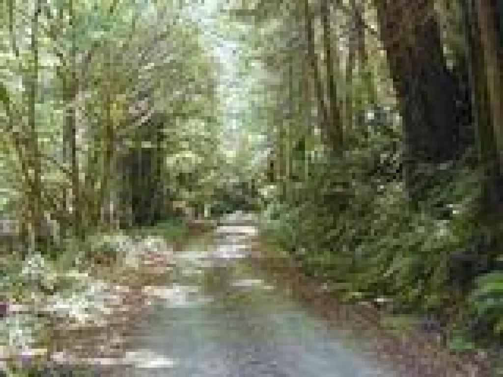 Uphill