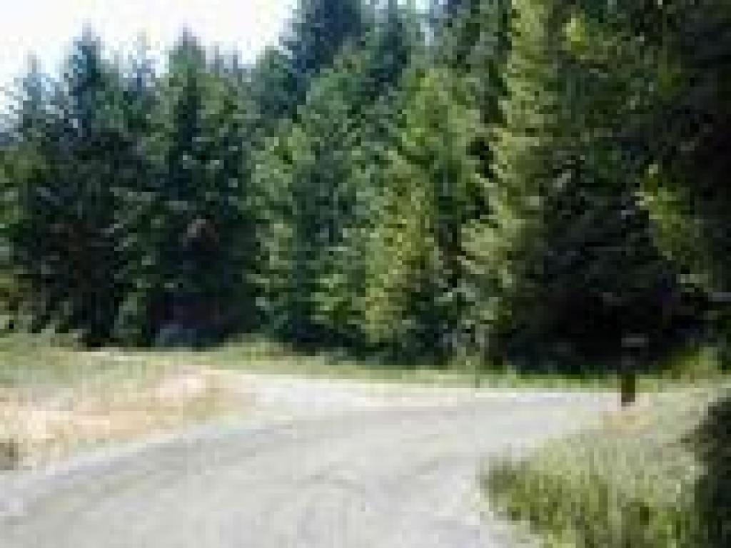 Junction