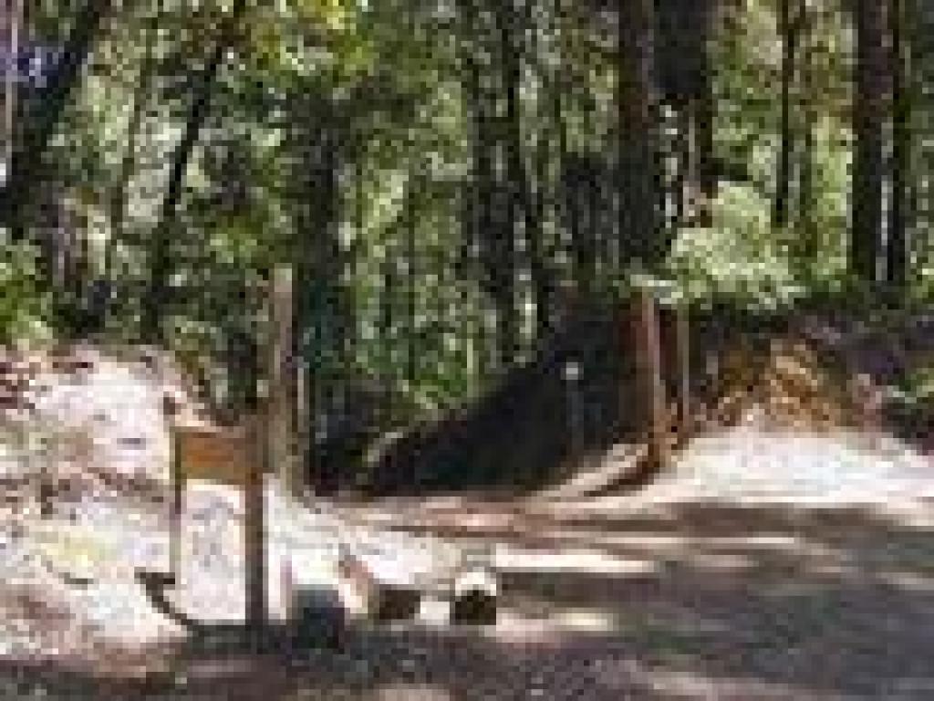 Service Road