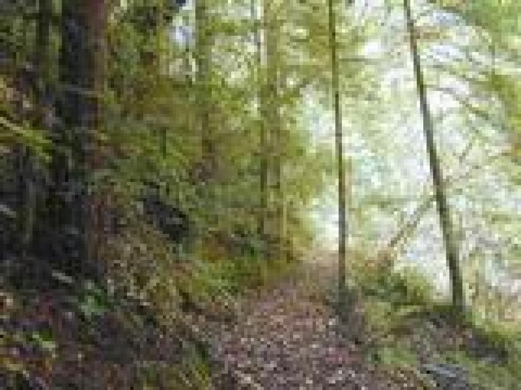 Iverson Trail