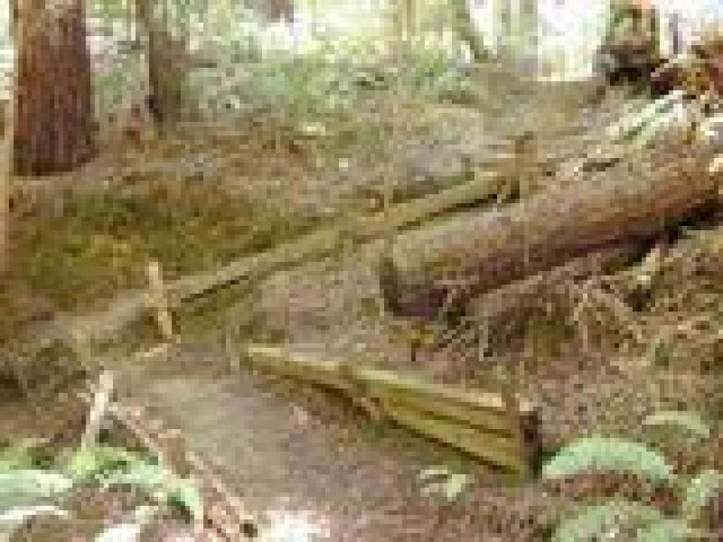 Switchback and steps