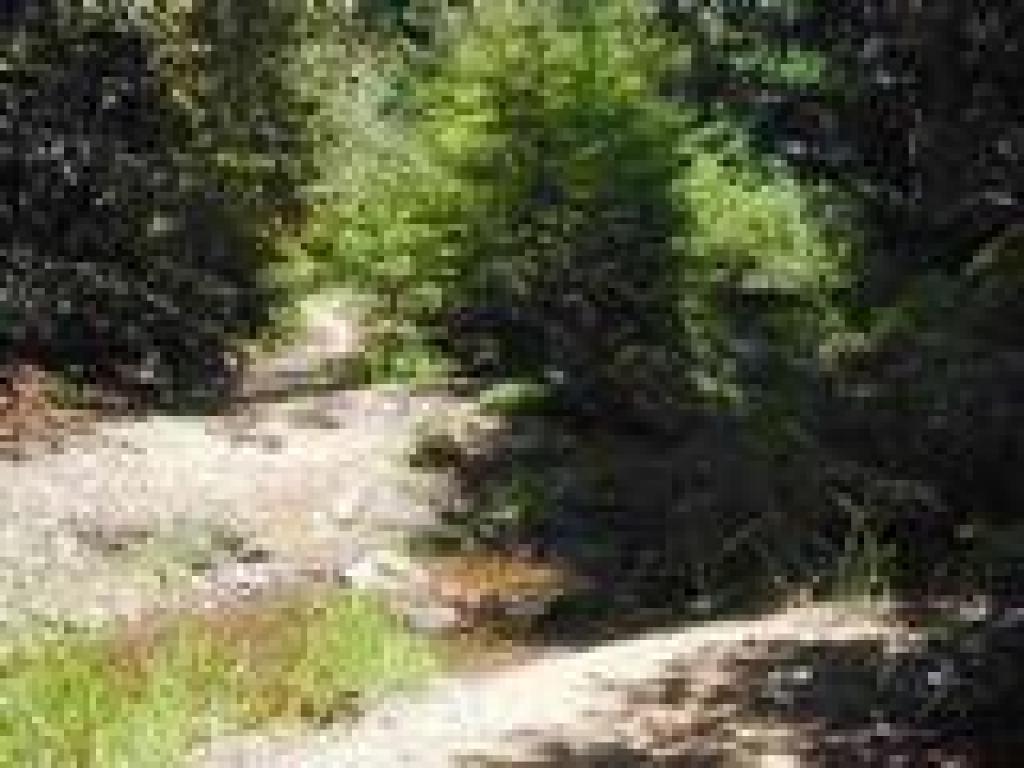 Back on Iverson Trail