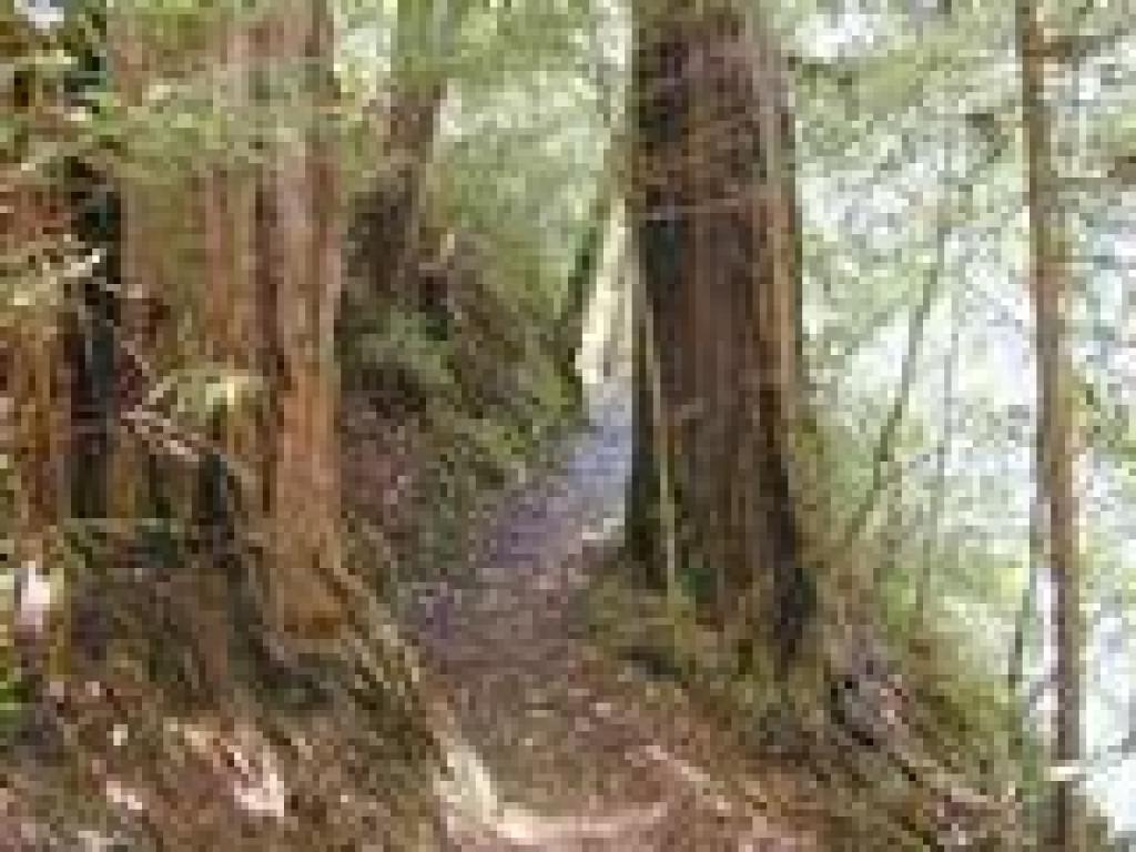 Iverson Trail
