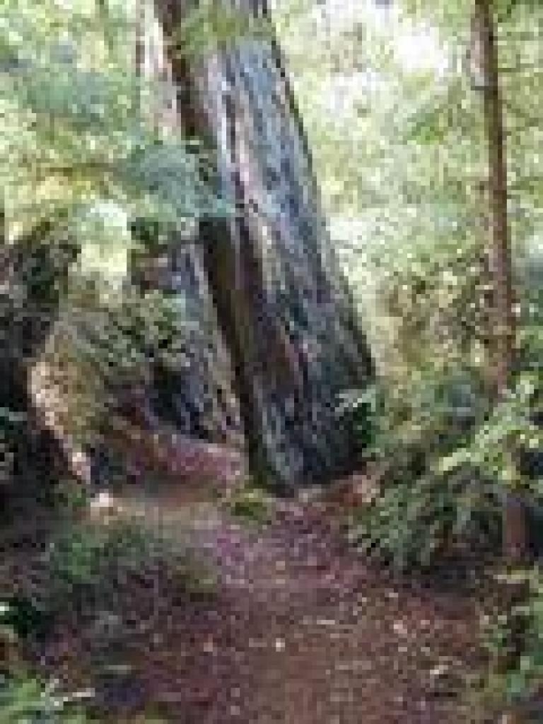 Iverson Trail