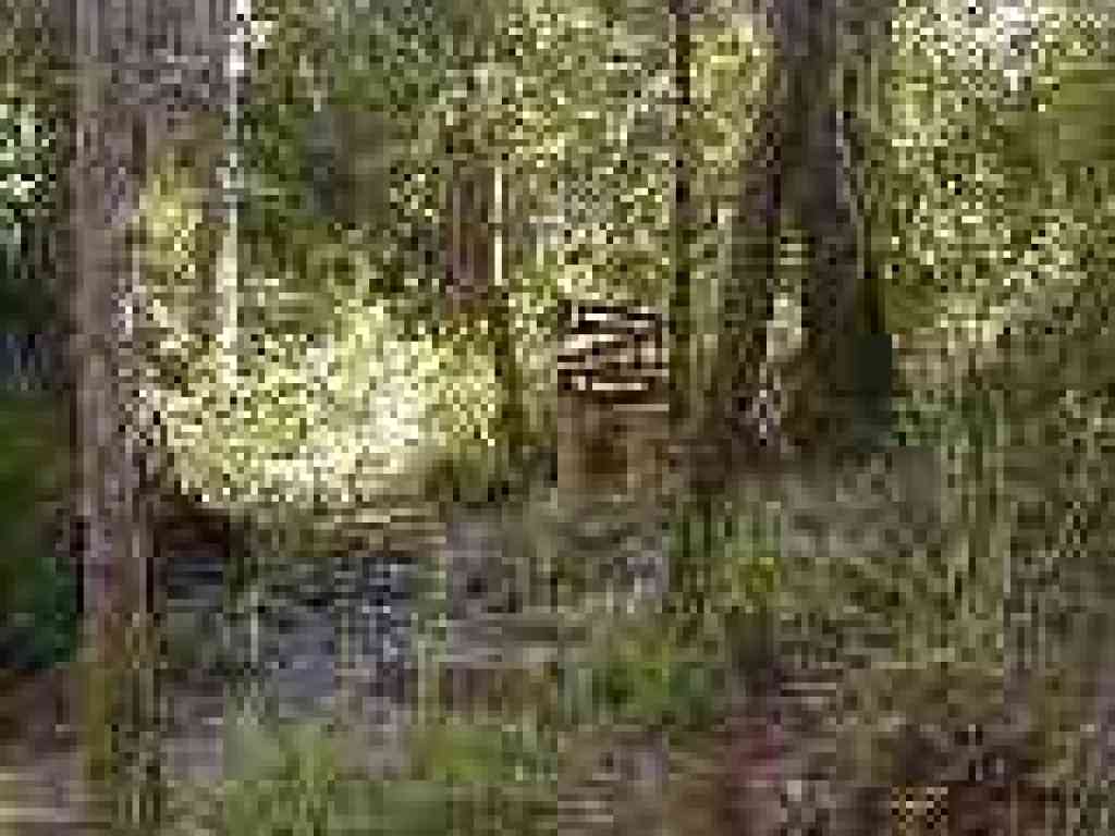 Approaching junction