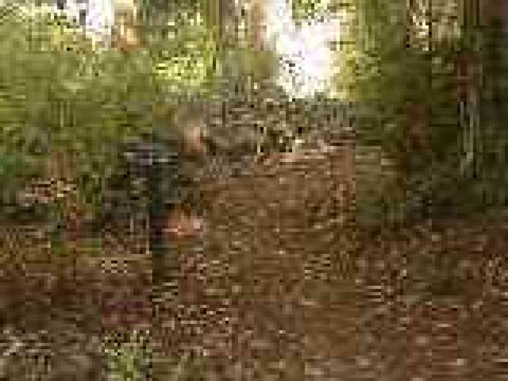 Entering county park