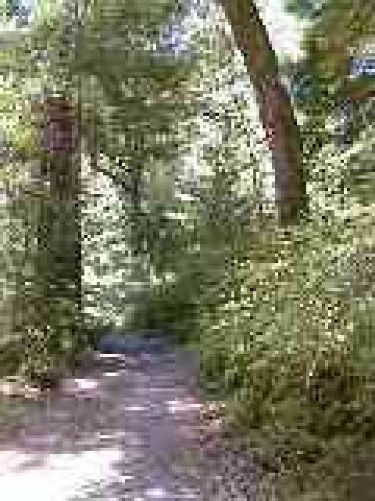 Pomponio Trail