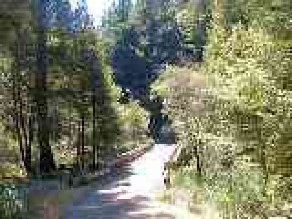 Bridge crossing Pescadero Creek
