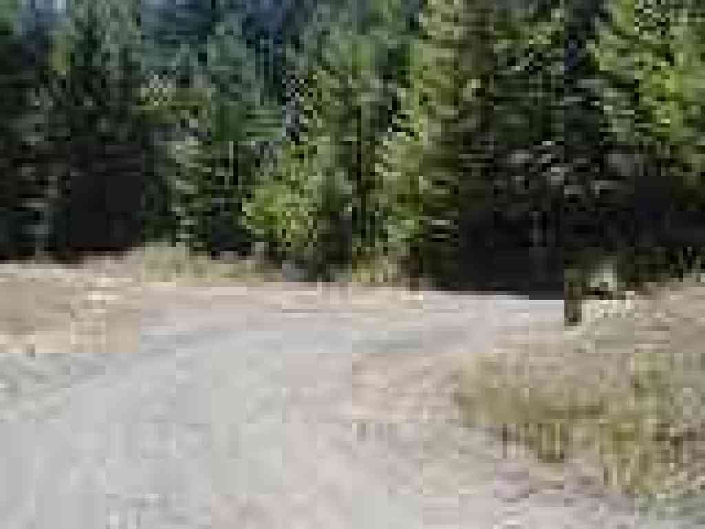 Junction with Old Haul Road