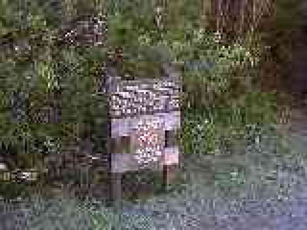 Junction with Ridge Trail