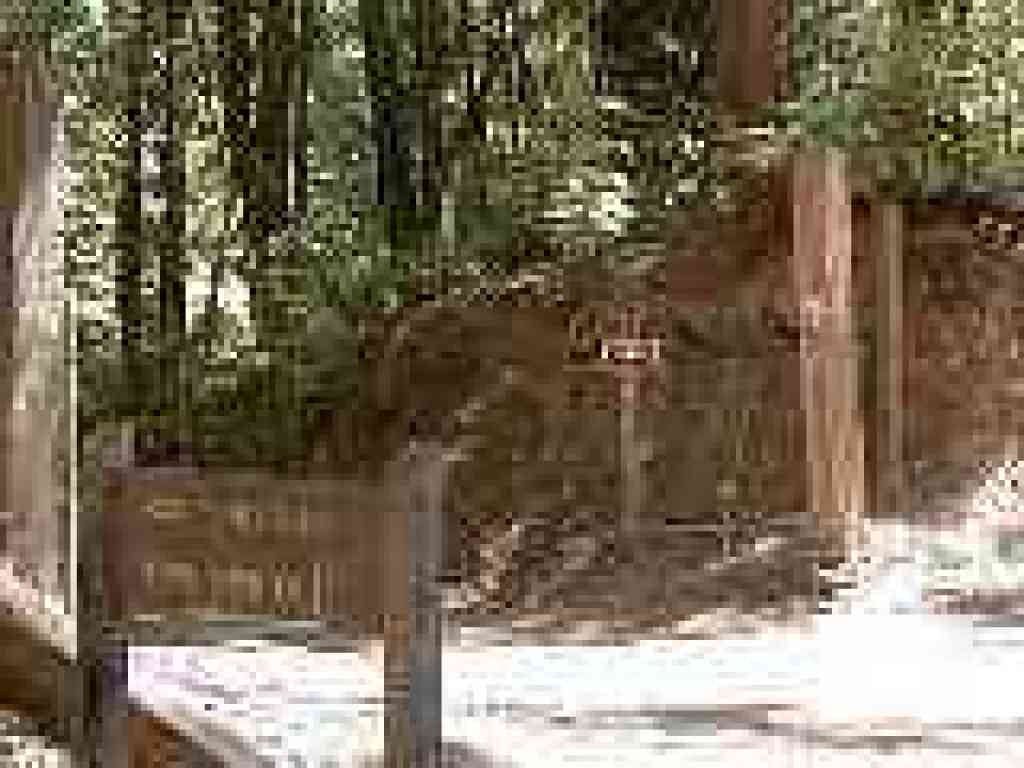 Junction with service road