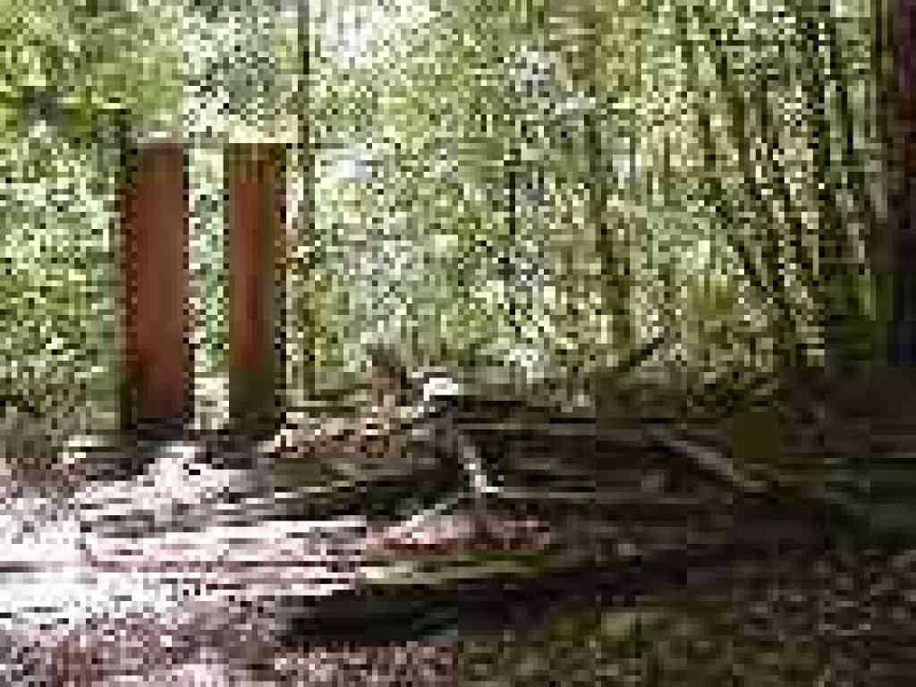 Iverson's Cabin site