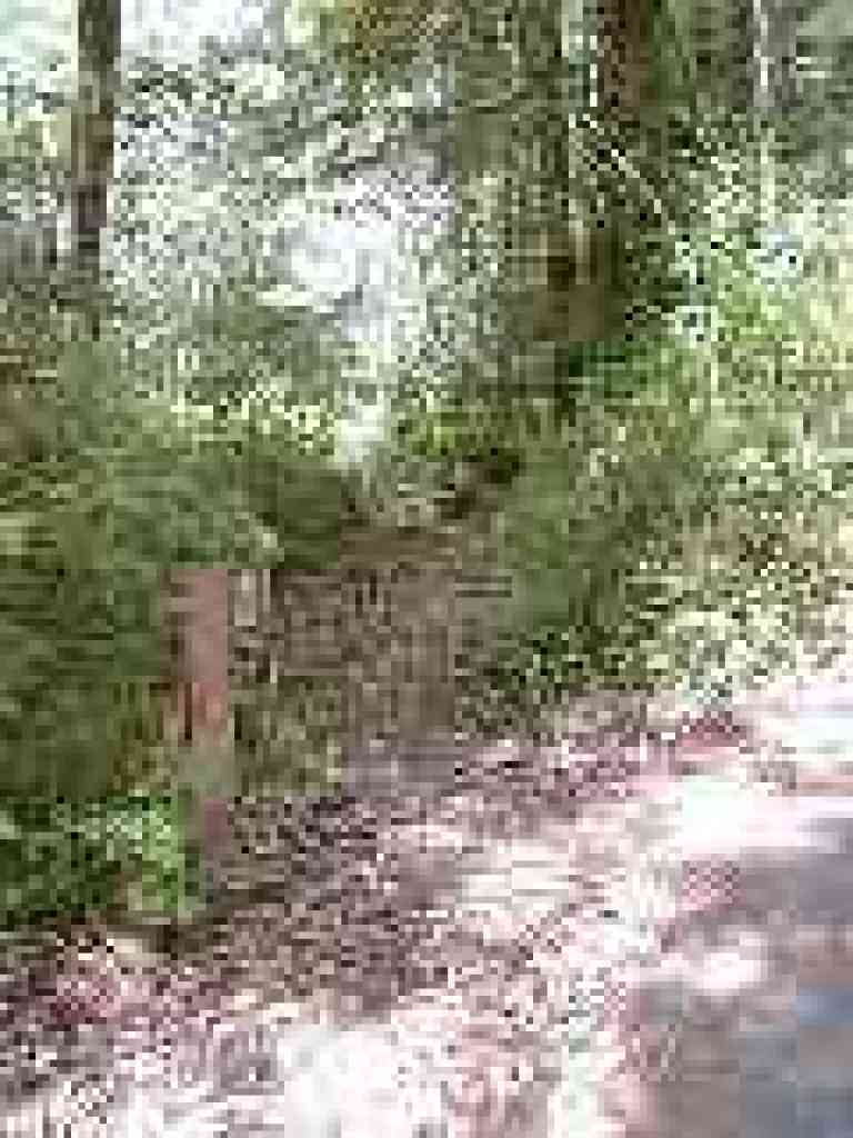 Path is a break from walking on pavement