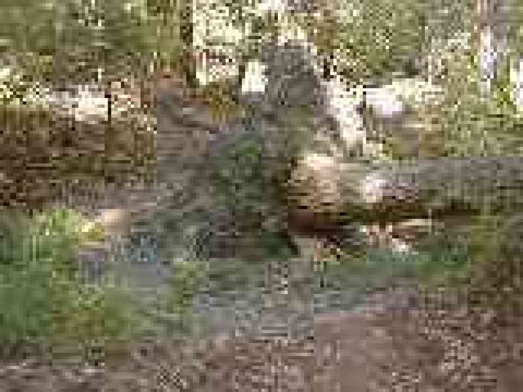 Path is susceptible to storm damage