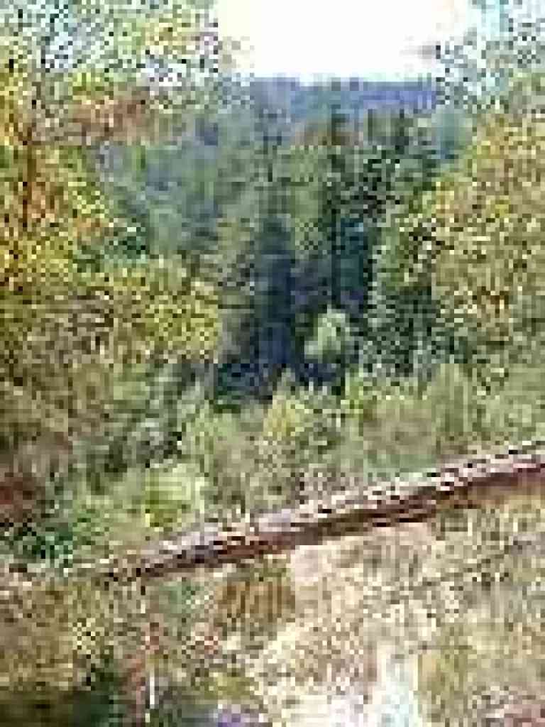 Dramatic view of the creek