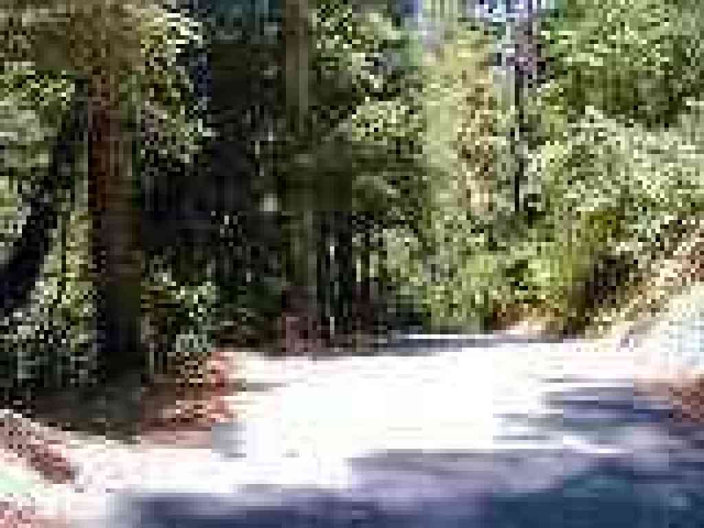 Junction with trail to Tiptoe Falls