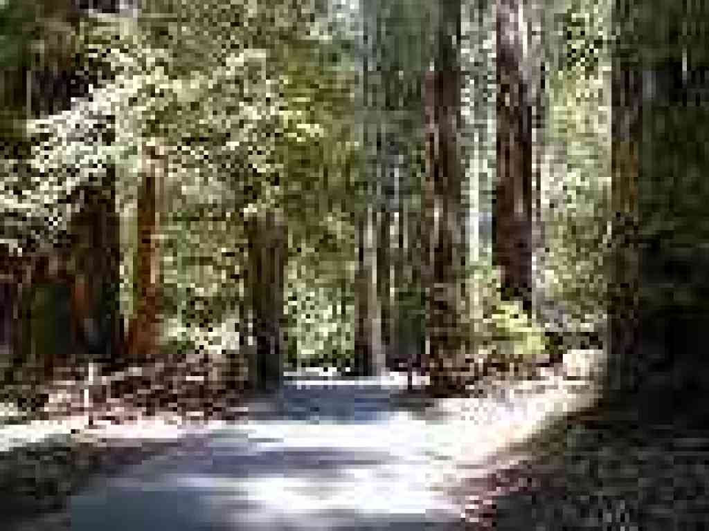 Approaching campground