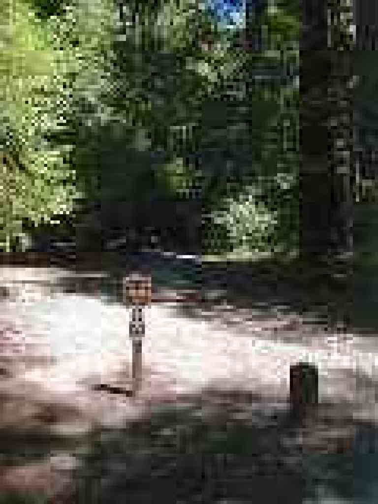 Junction with Old Tree Trail