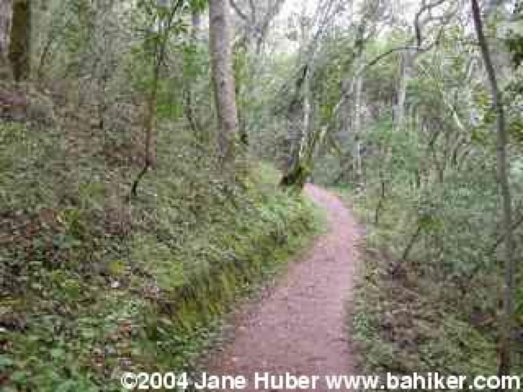 Polly Geraci Trail