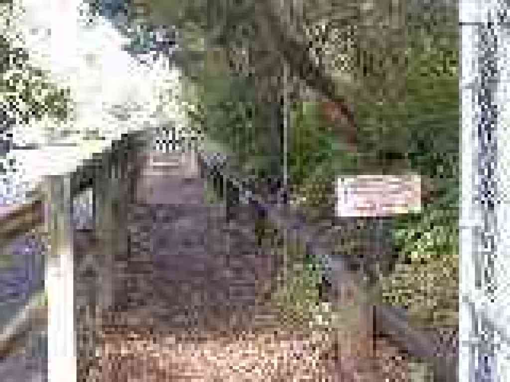 Cordilleras Trail