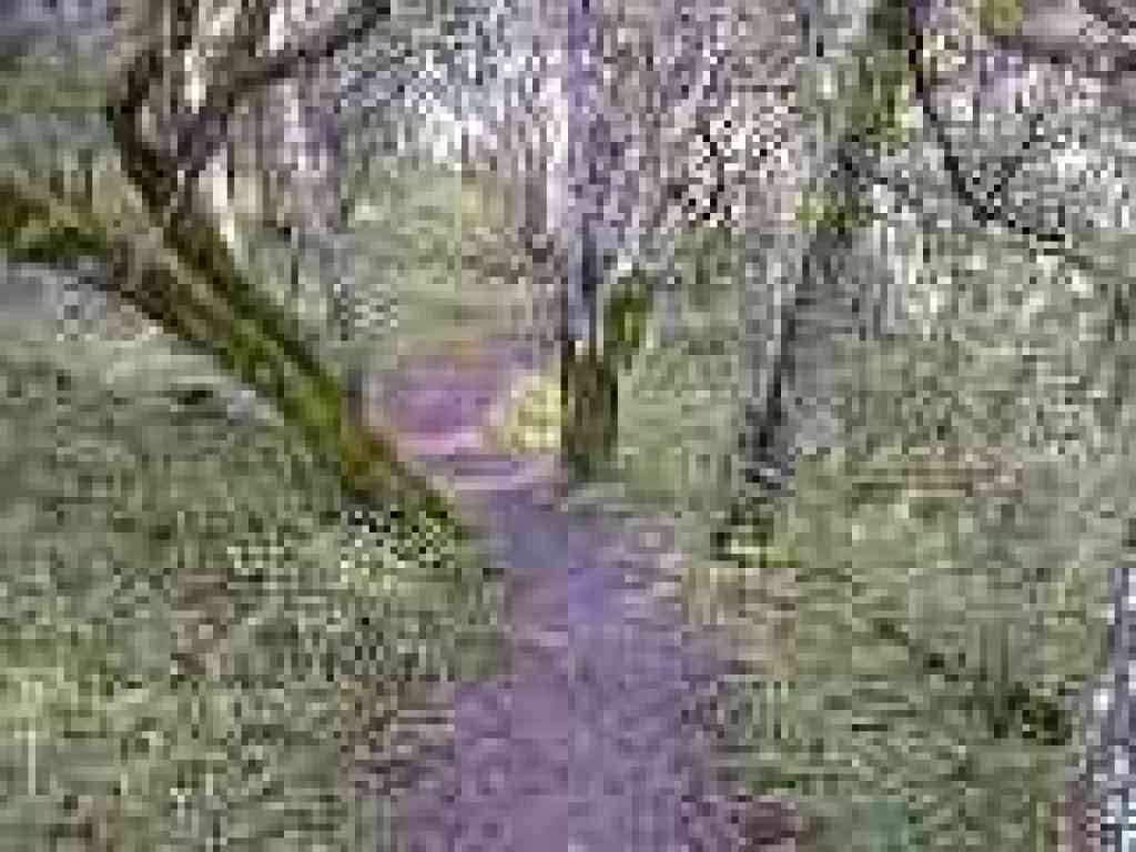 Lovely shade