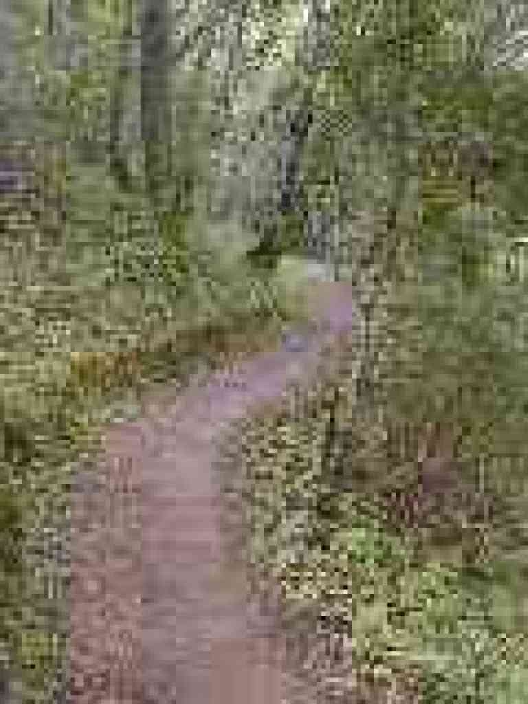 Polly Geraci Trail