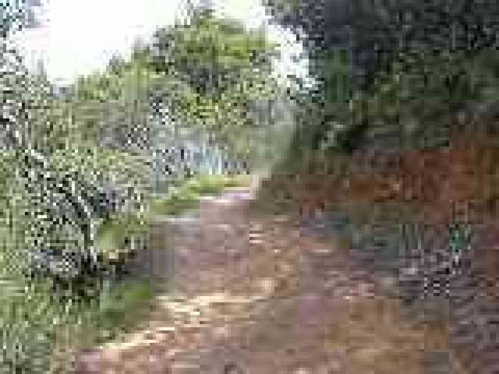 Edging through chaparral