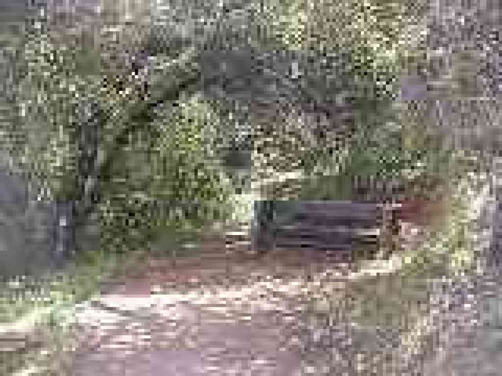 Rest bench