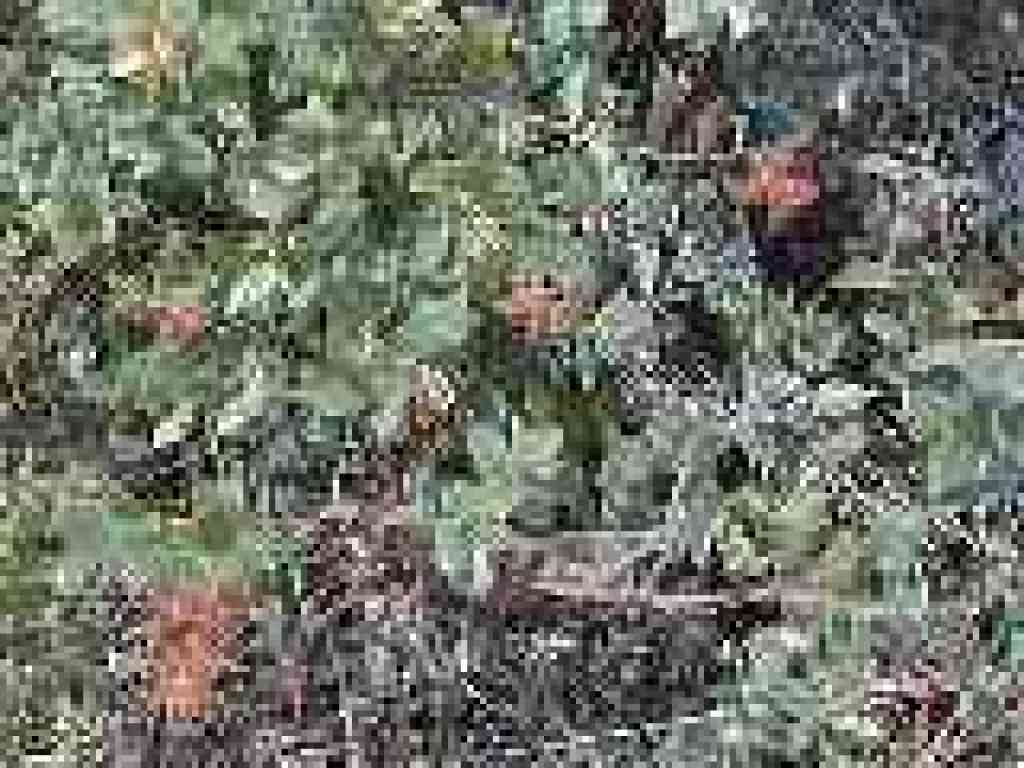 Manzanita berries