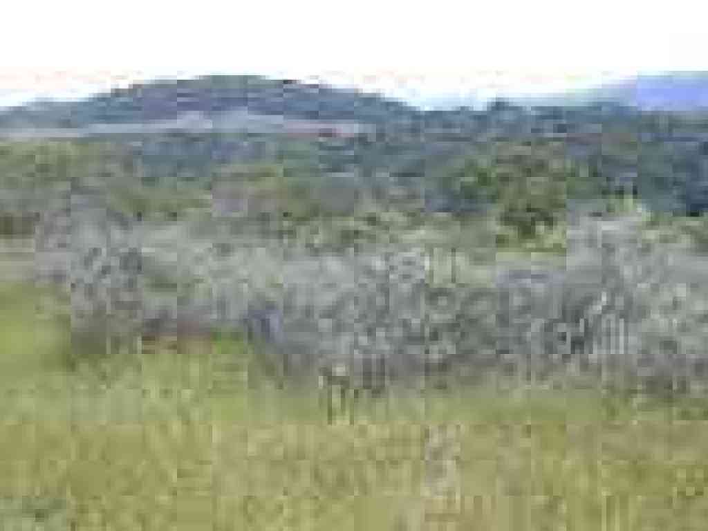 View south