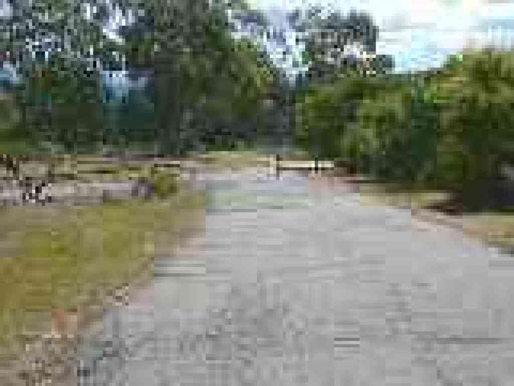 Approaching dog area