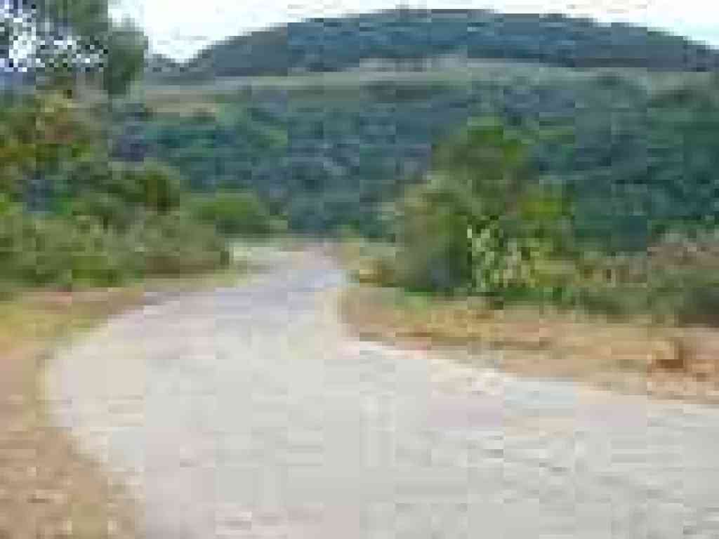 Downhill