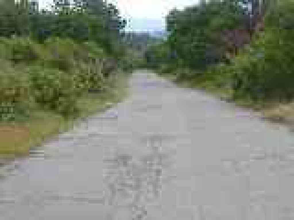 Hassler Trail