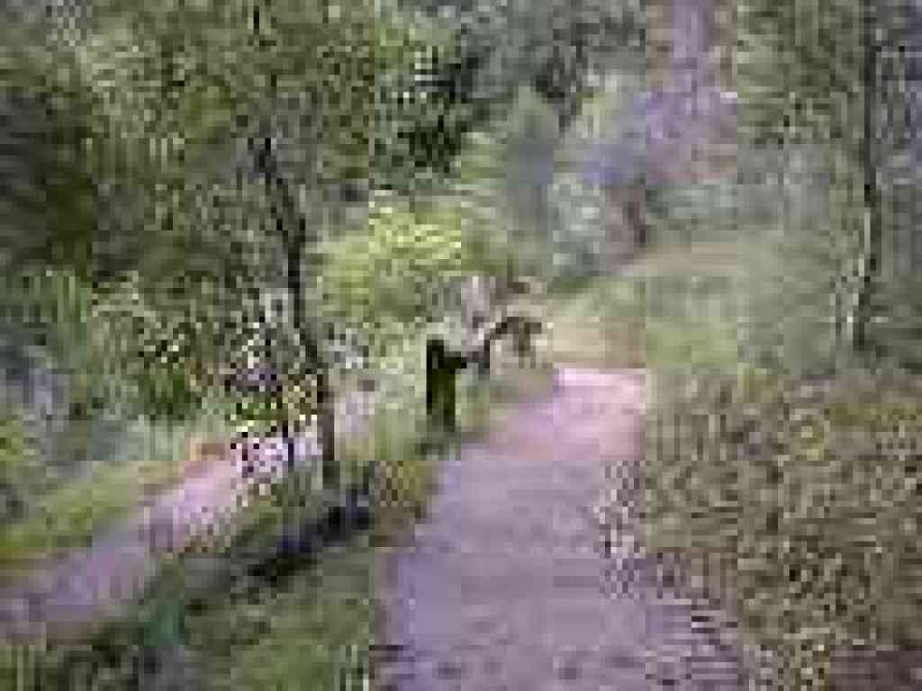 Switchbacks