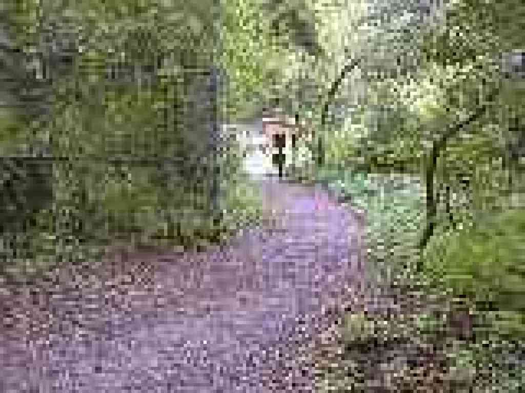End of the trail