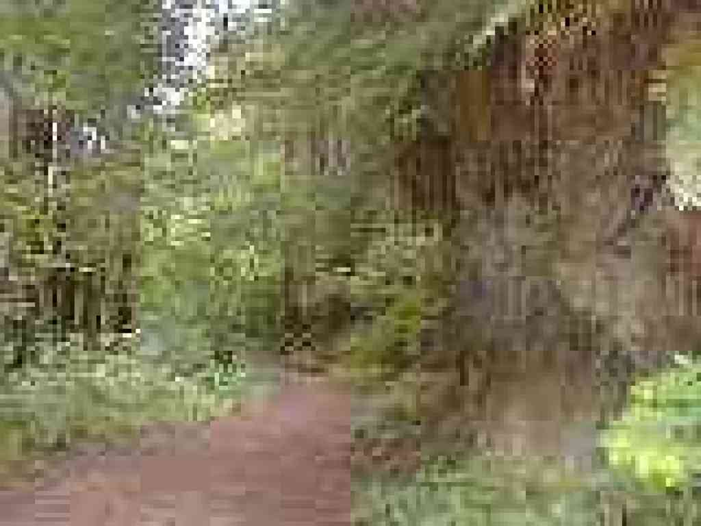 Purisima Creek Trail
