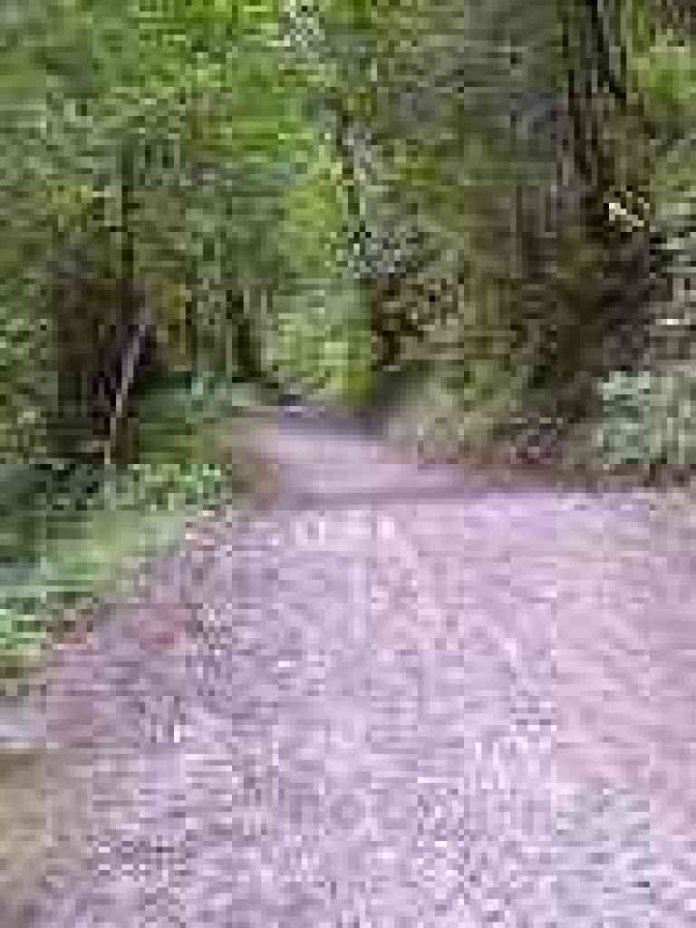 Purisima Creek Trail