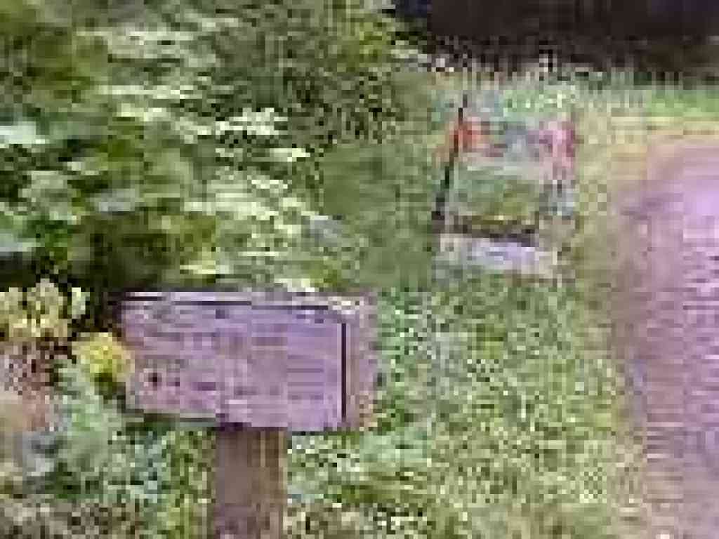 Bridge out sign