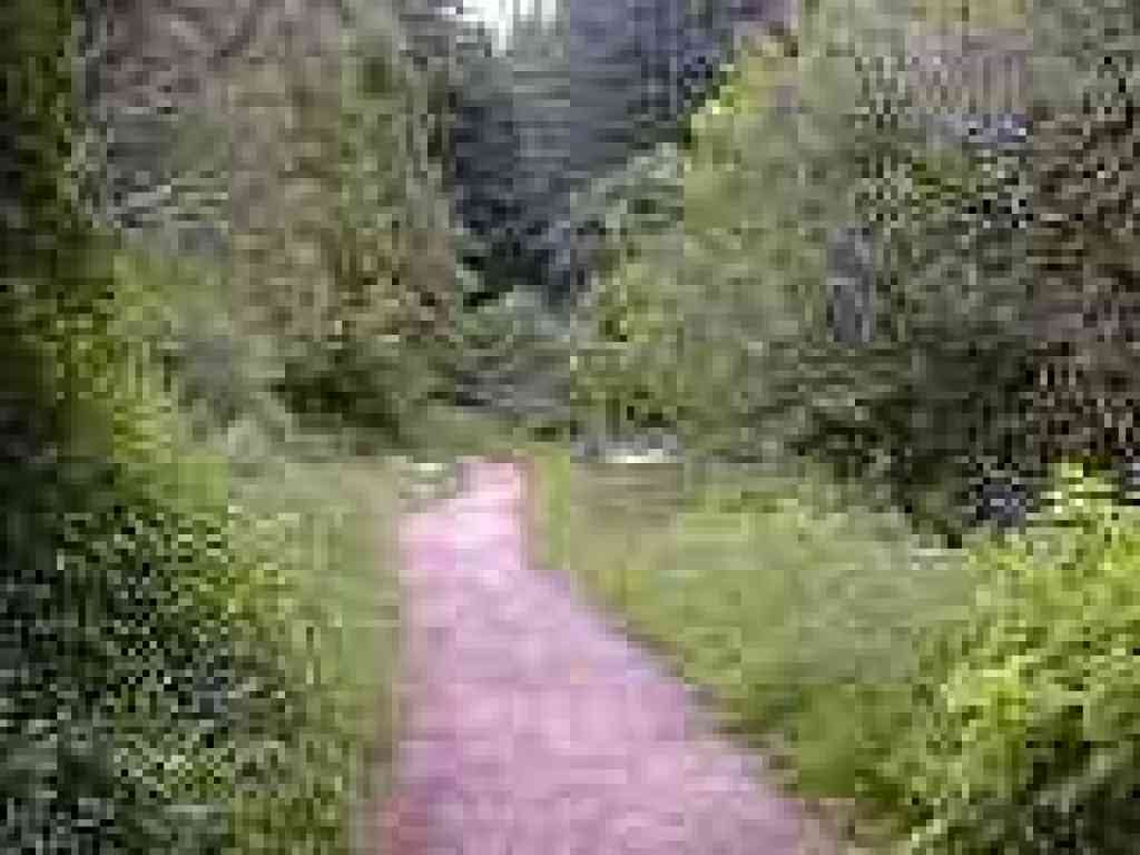 Former junction with Grabtown Gulch Trail