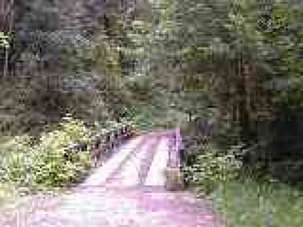 Bridge