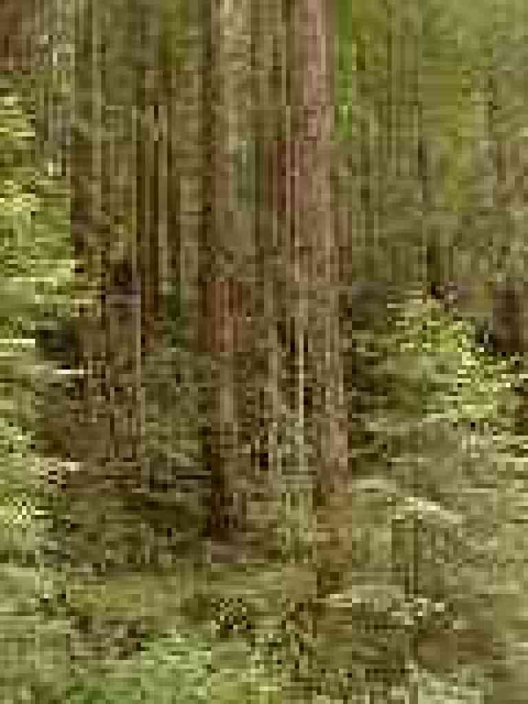 View across the creek