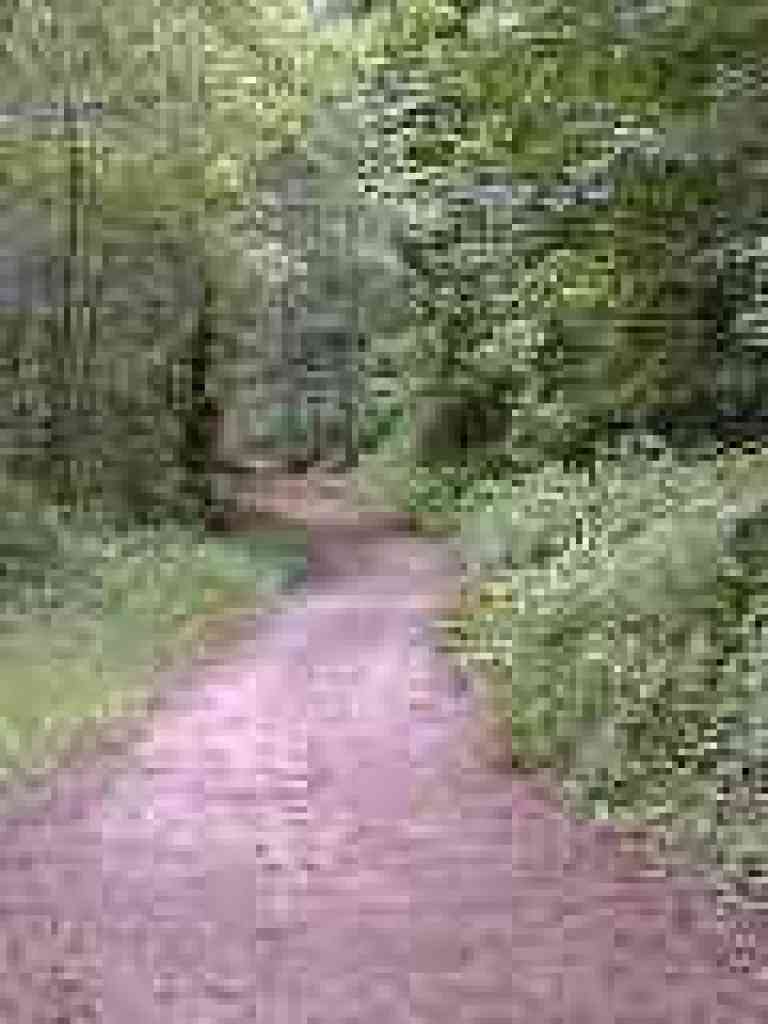 Purisima Creek Trail