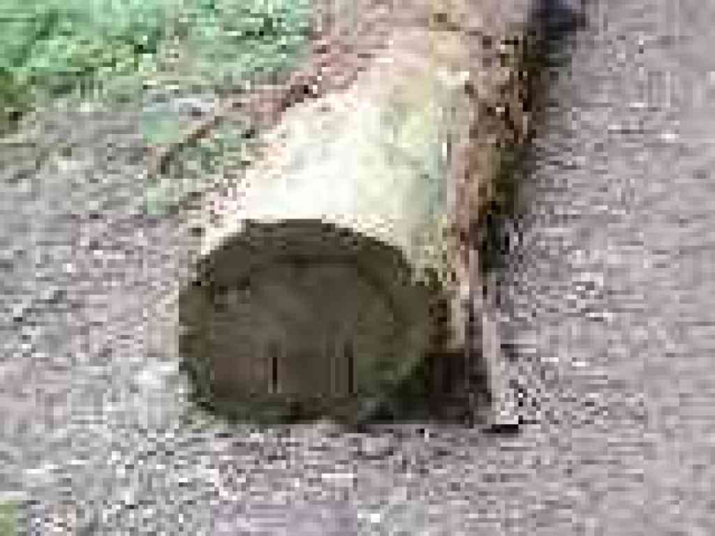 Smiley face log