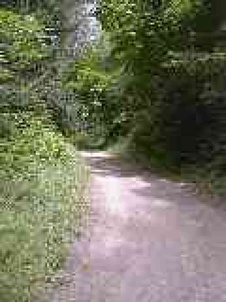 Climbing