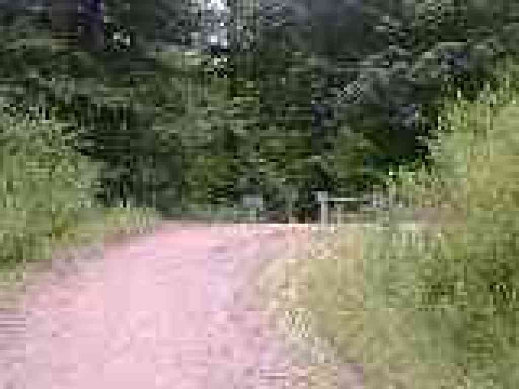 Junction